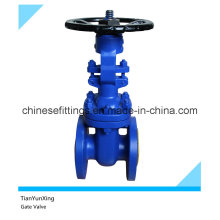 En558-1 F4 En1092-1 Osy DIN Gate Valve